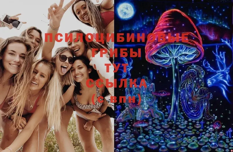 Псилоцибиновые грибы Magic Shrooms  это наркотические препараты  Тарко-Сале 